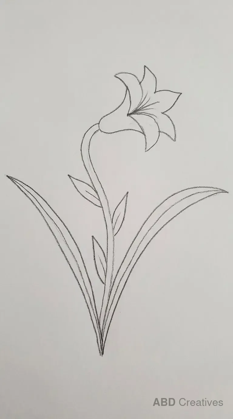 Lily with Blade Leaves