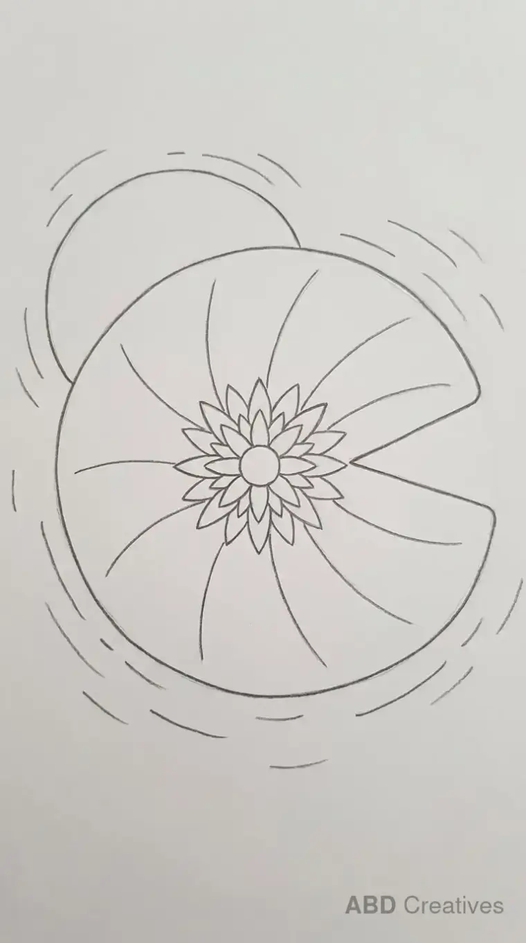 Water Lily on a Lily Pad