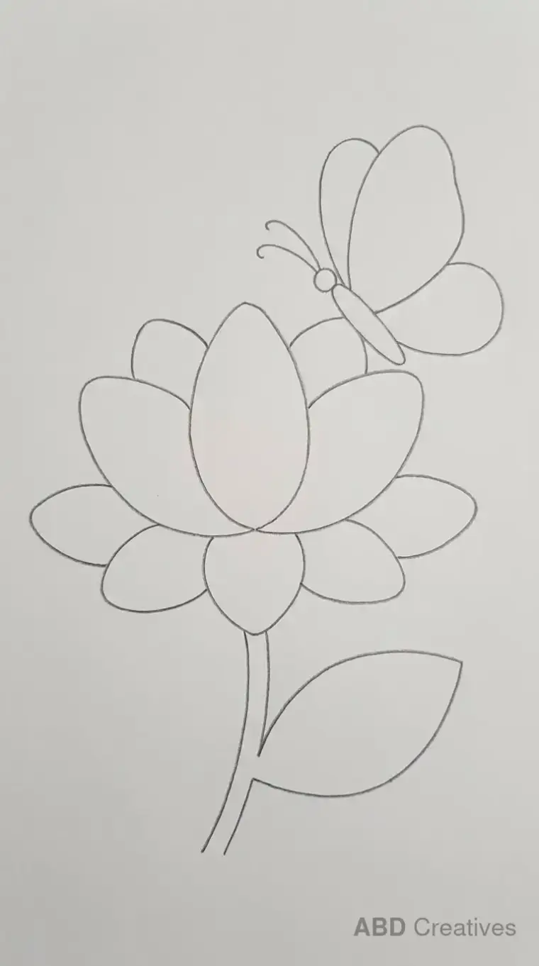 Lotus with a Butterfly