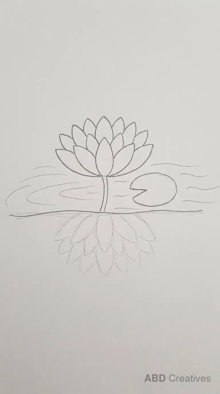 Lotus on the Water with a Lily Pad