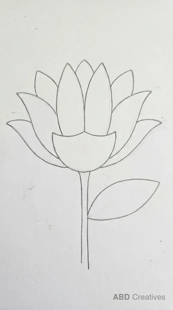 Layered Lotus Bloom
