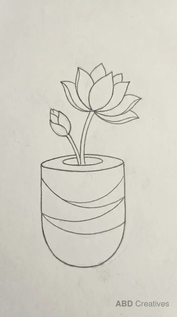 Lotus in a Striped Pot