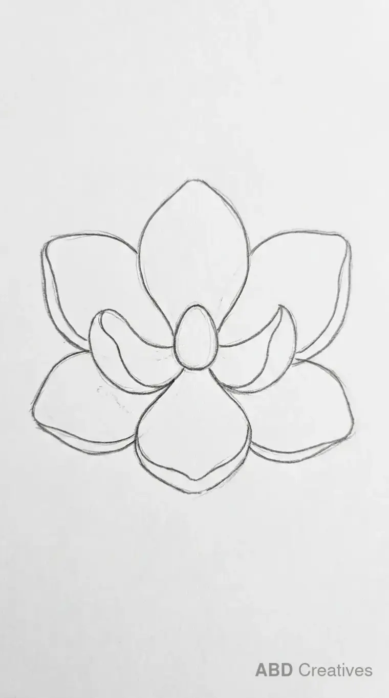 Large Magnolia Bloom Close Up