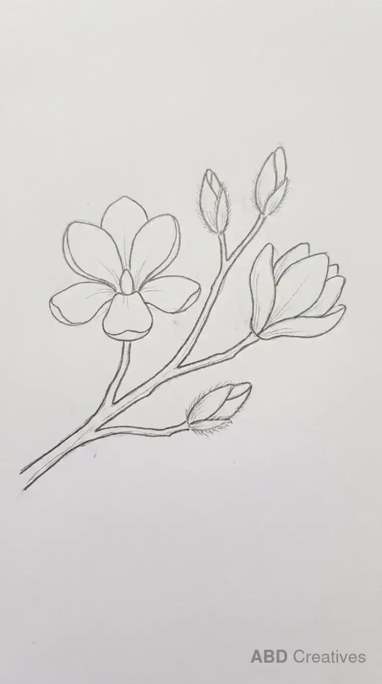 Magnolia Branch with Buds