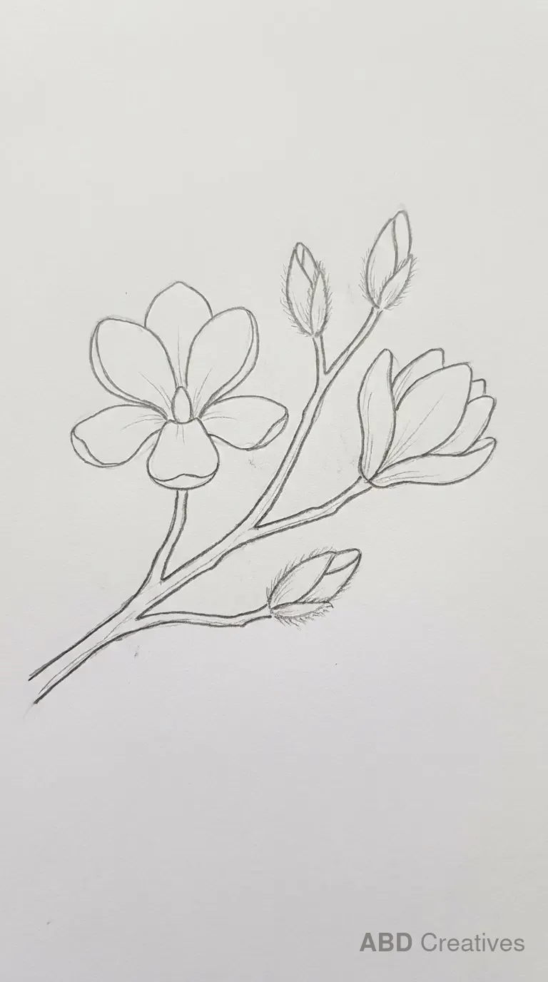 Magnolia Branch with Buds
