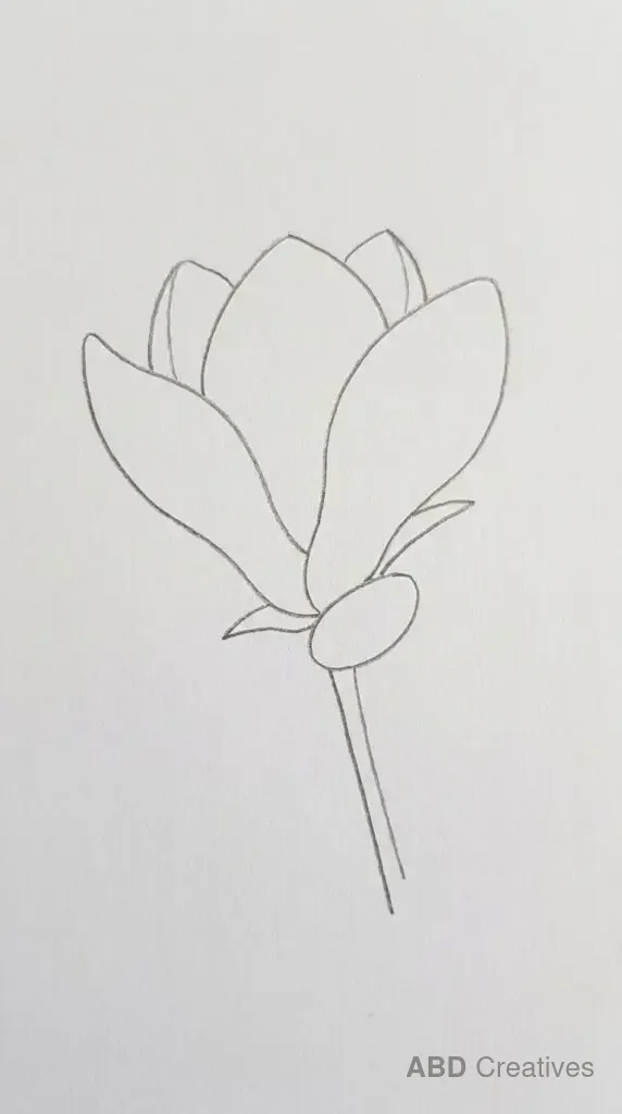 Single Magnolia Bloom