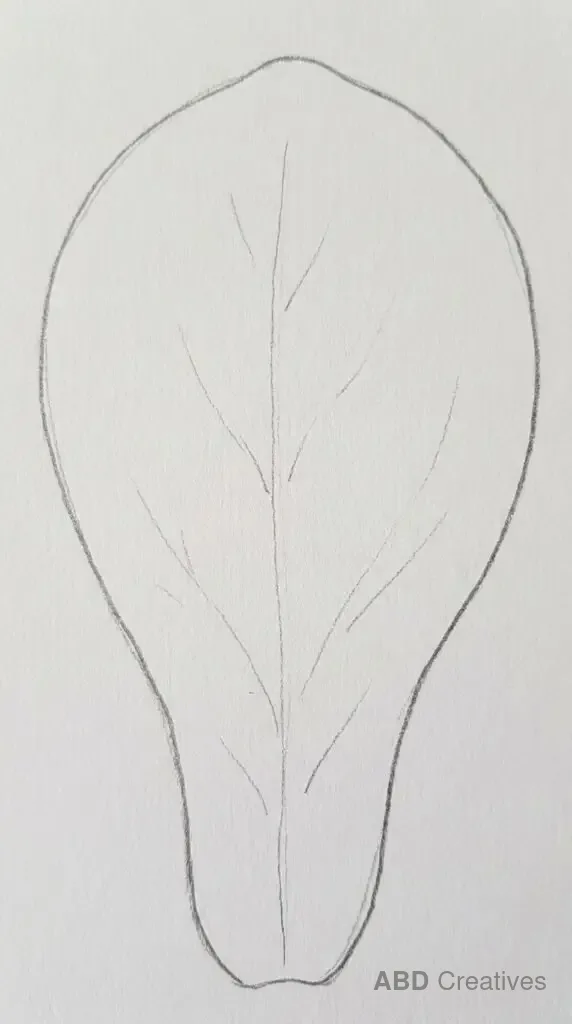 Magnolia Leaf Close Up