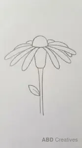 Easy Marigold for Beginners