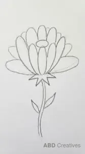 Side View Marigold Flower