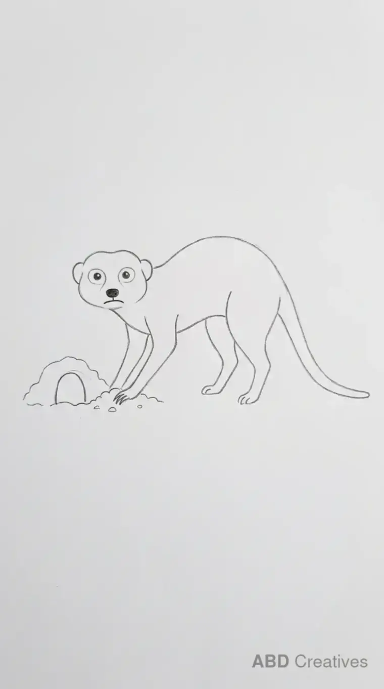 Meerkat Digging Burrow Pencil Sketch