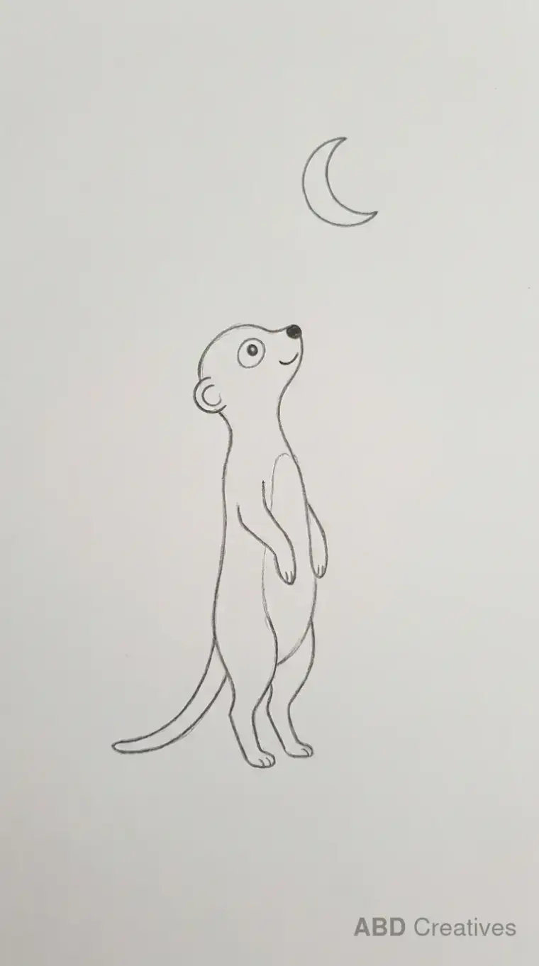 Meerkat Looking at Moon Drawing
