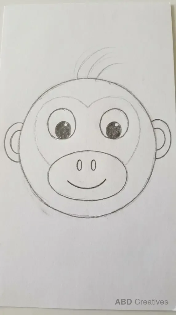Monkey Face Close Up