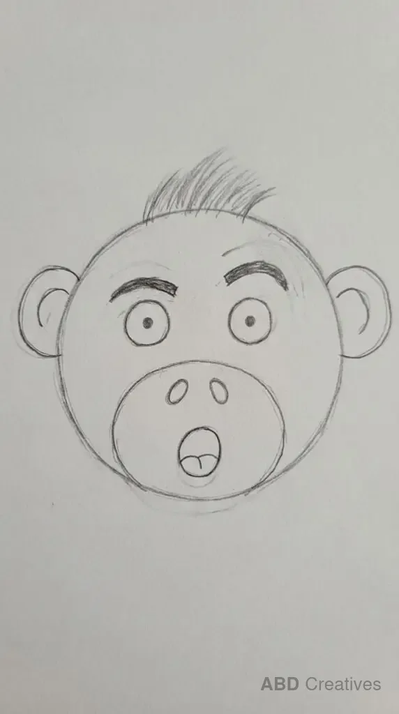 Surprised Monkey Face