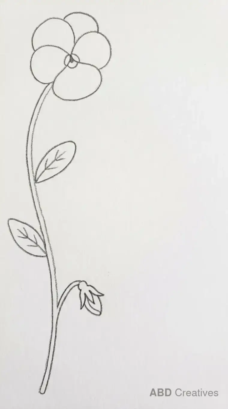 Pansy Corner Border Decoration