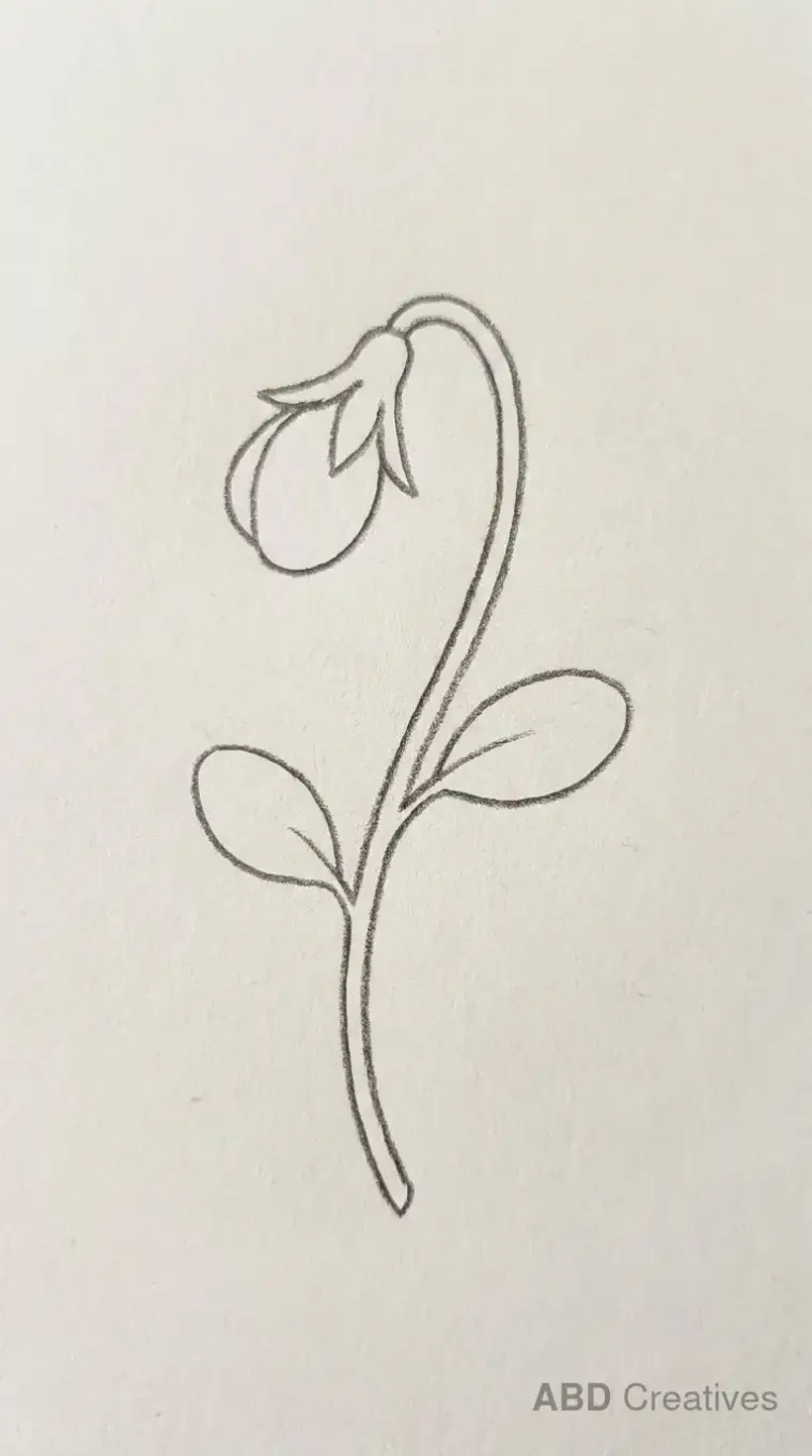 Pansy Flower Bud on a Stem