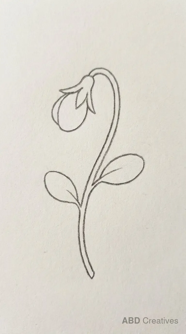 Pansy Flower Bud on a Stem