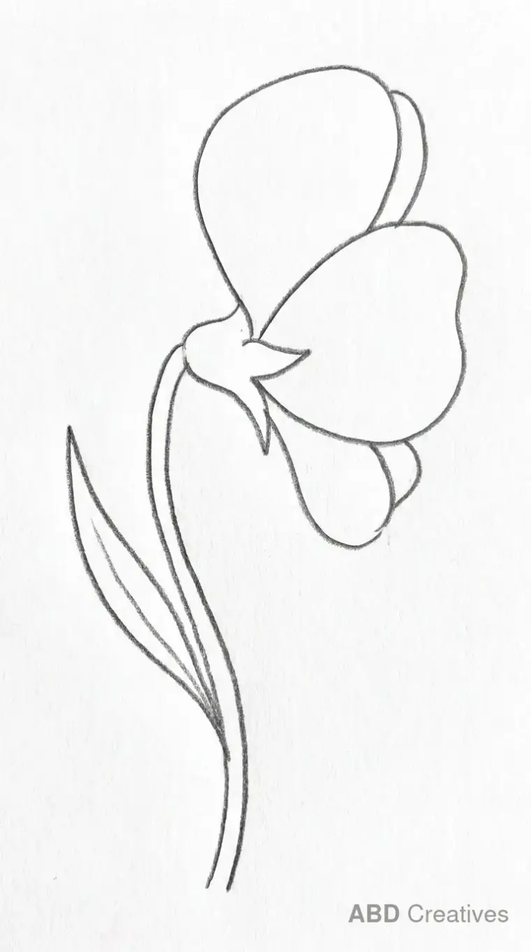 Pansy Flower Viewed from the Side