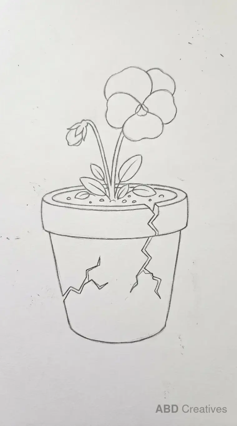 Pansy Growing from a Cracked Clay Pot
