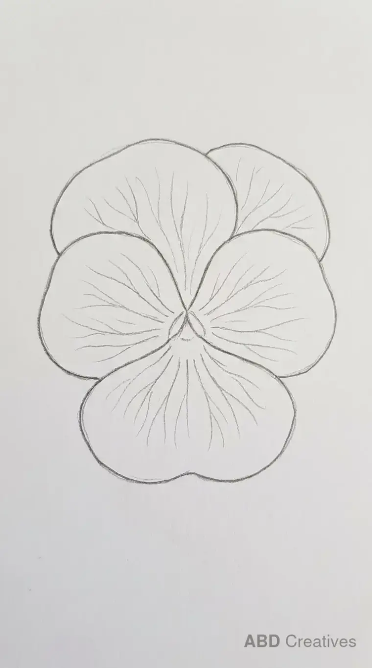 Pansy with Detailed Petal Veins