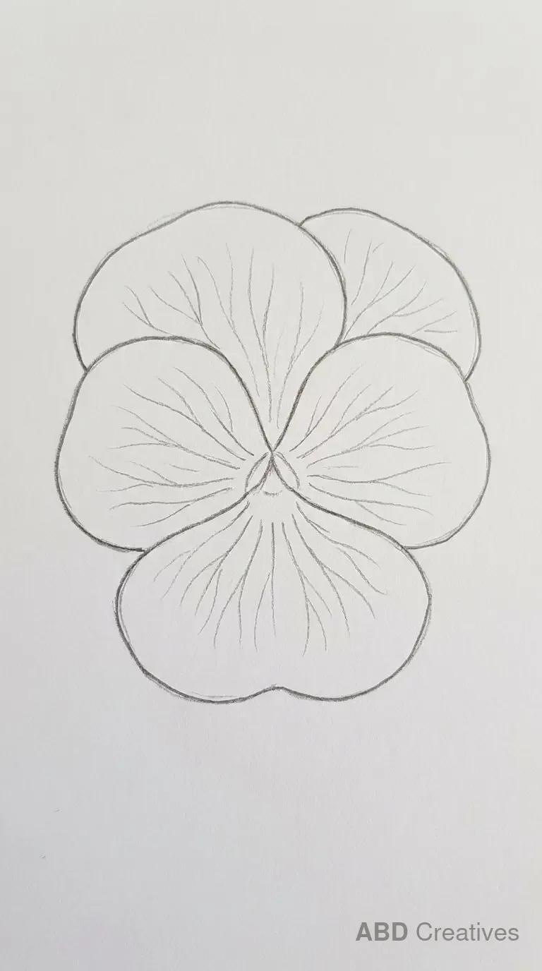 Pansy with Detailed Petal Veins