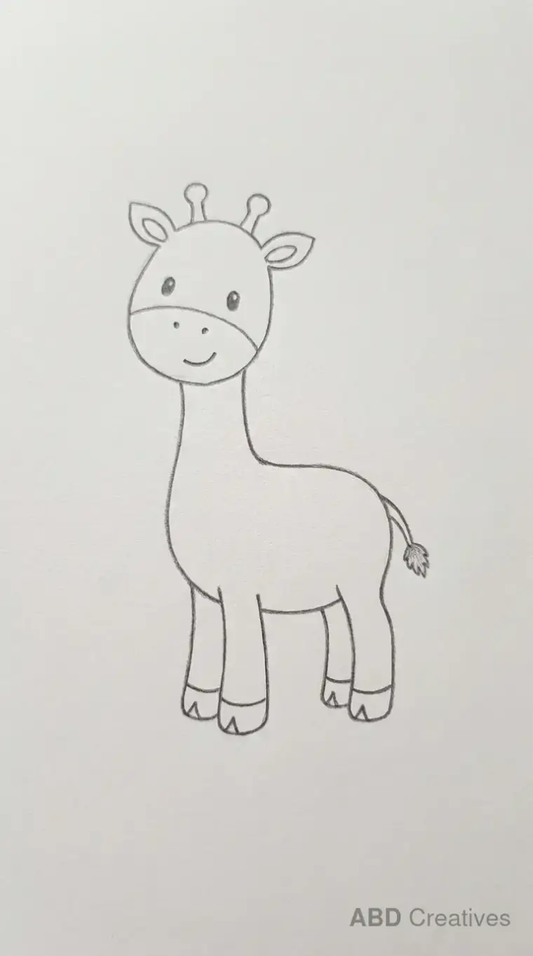 Baby Giraffe