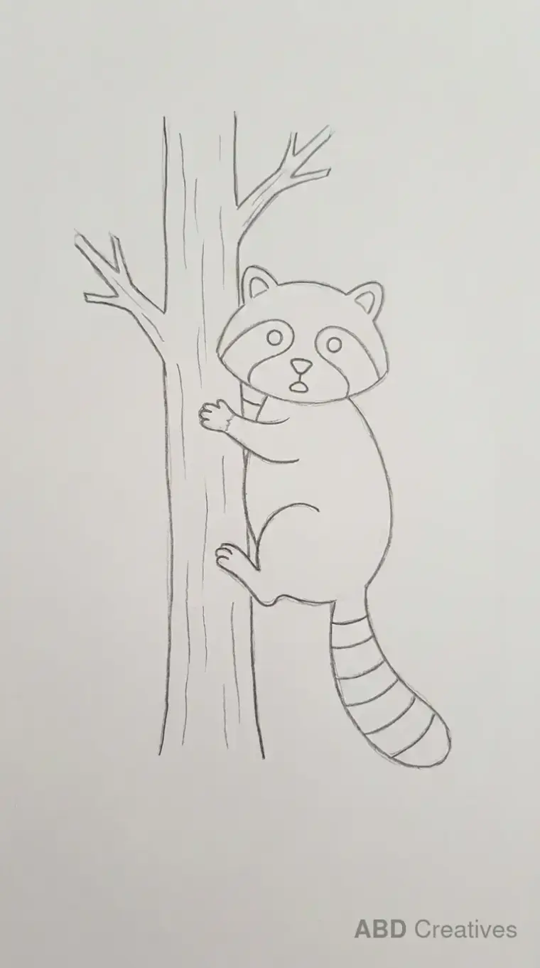 Raccoon Climbing Tree Drawing