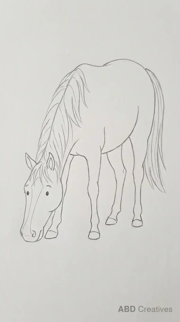 Horse Grazing with Head Down