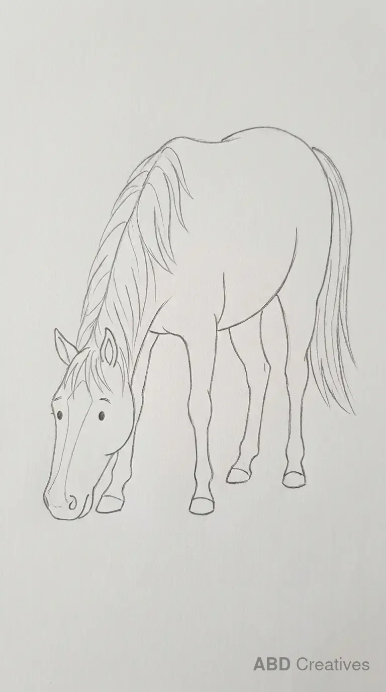 Horse Grazing with Head Down