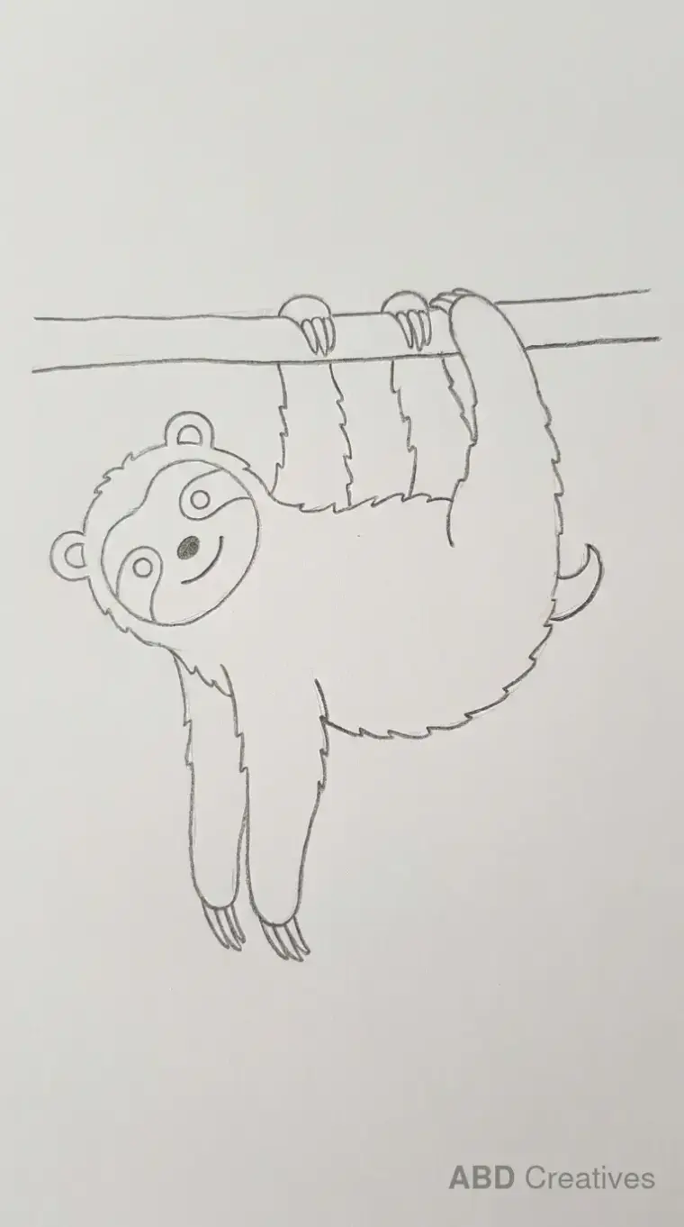 Sloth Hanging From a Branch