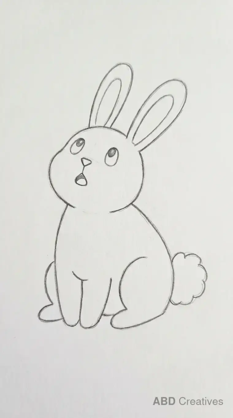 Bunny Looking Up
