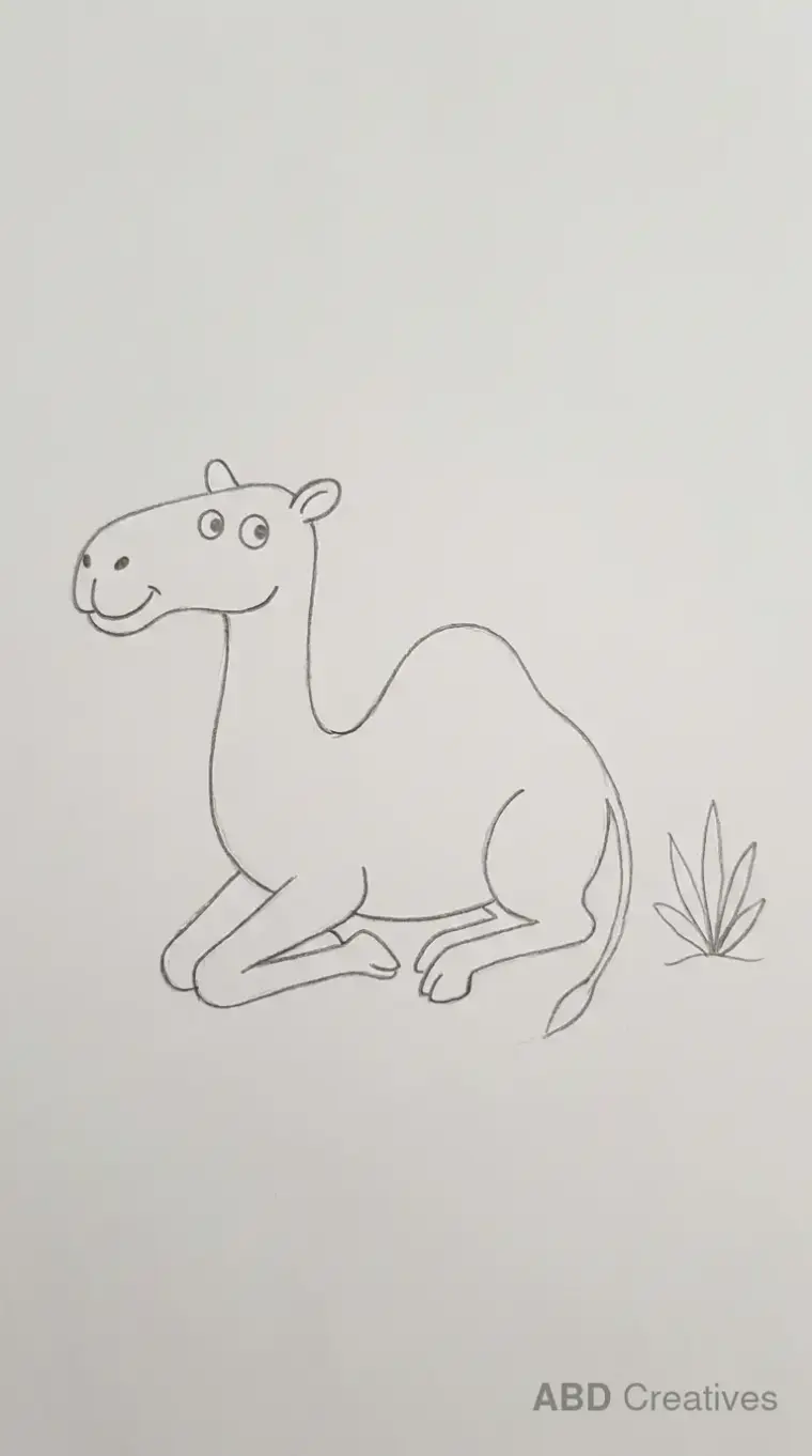 Pencil Drawing of Sitting Camel