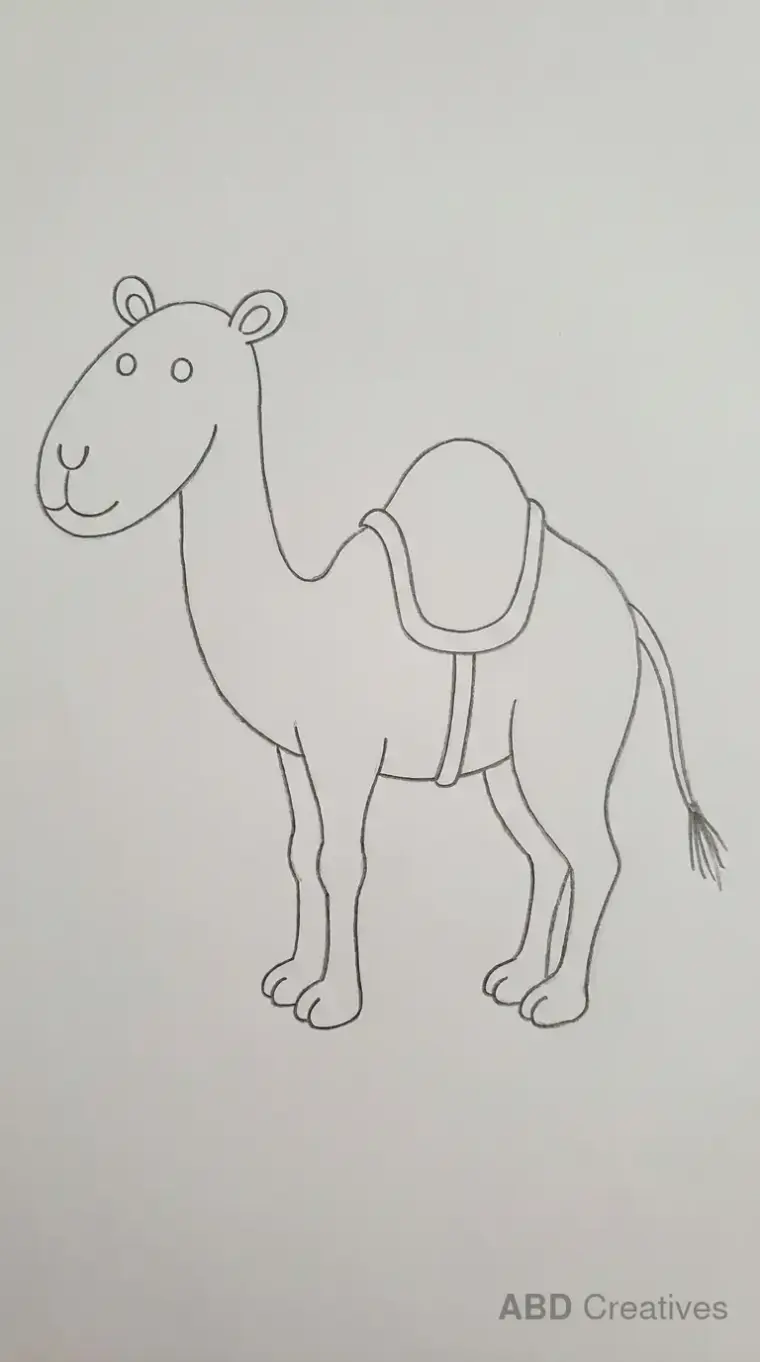 Pencil Drawing of Standing Camel