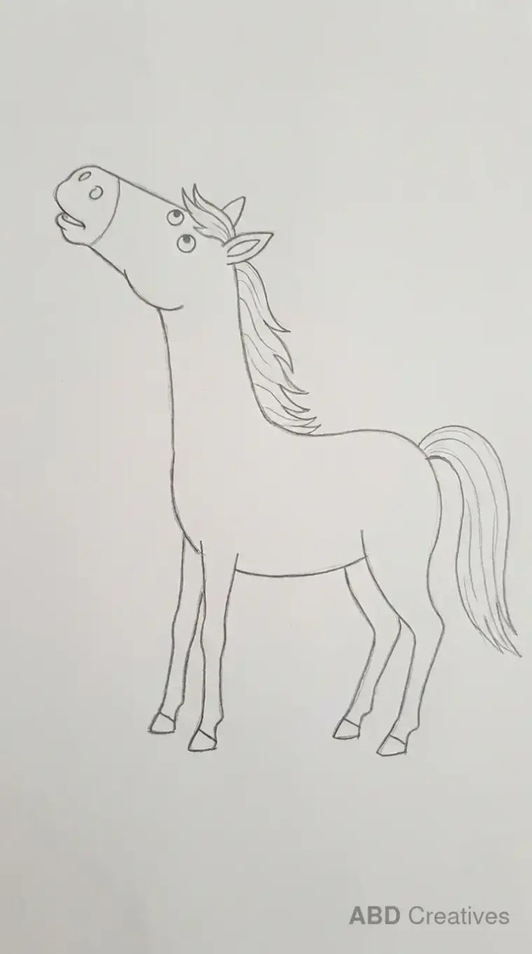 Horse Looking Up