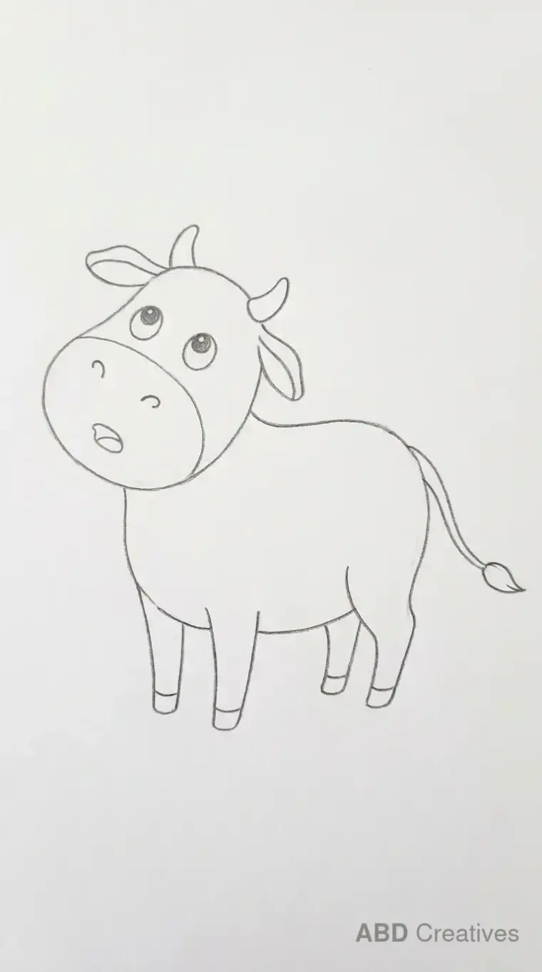 Surprised Cow