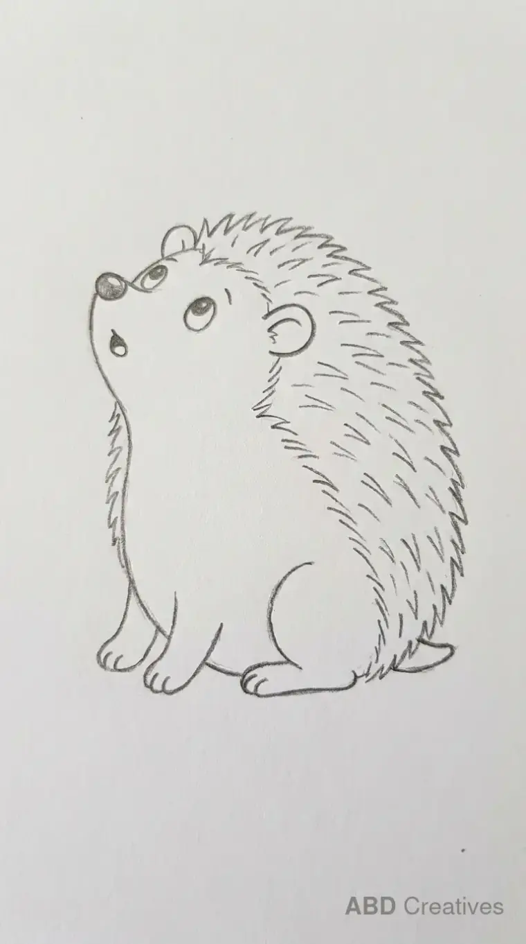 Hedgehog Looking Up