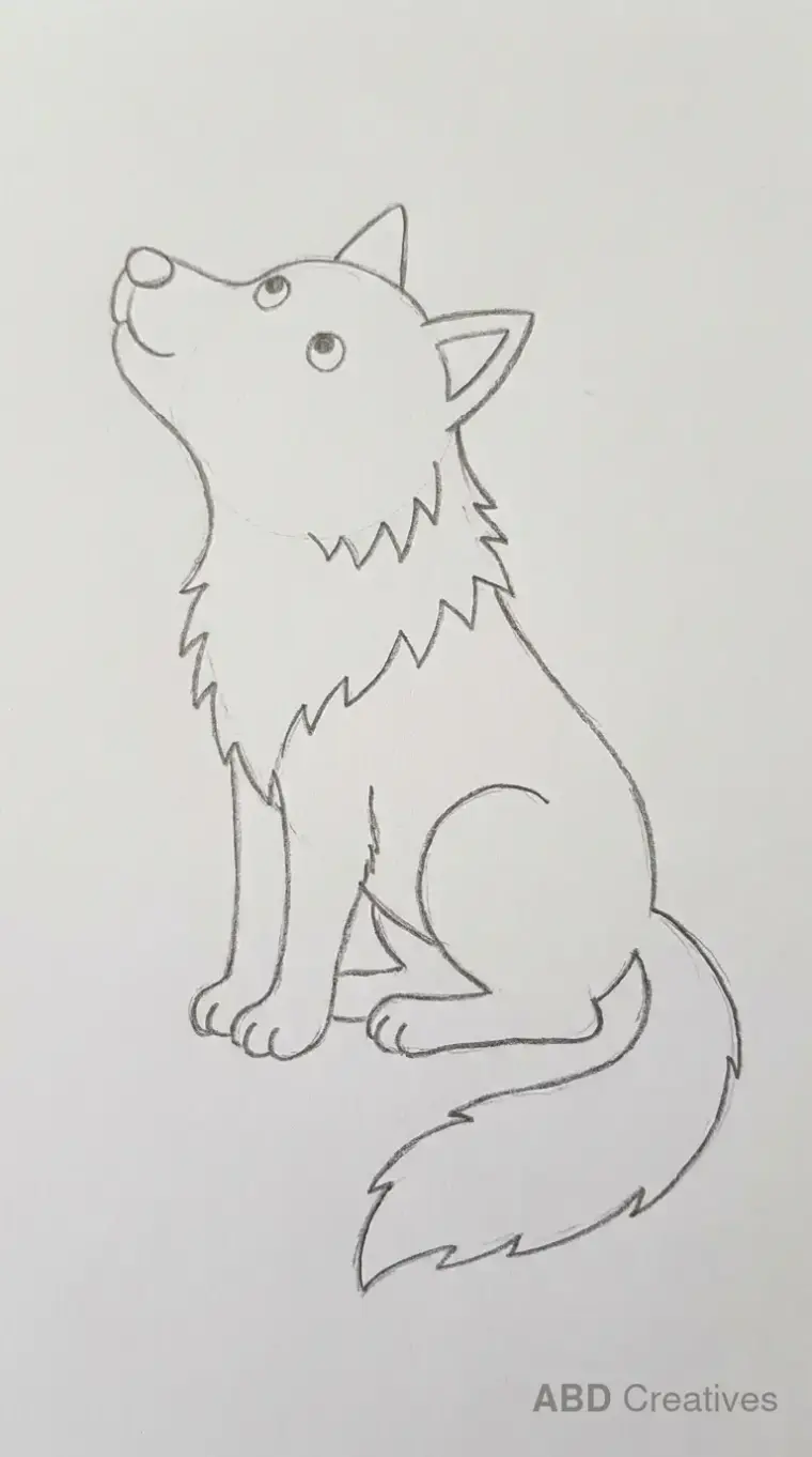 Sitting Wolf Looking Up
