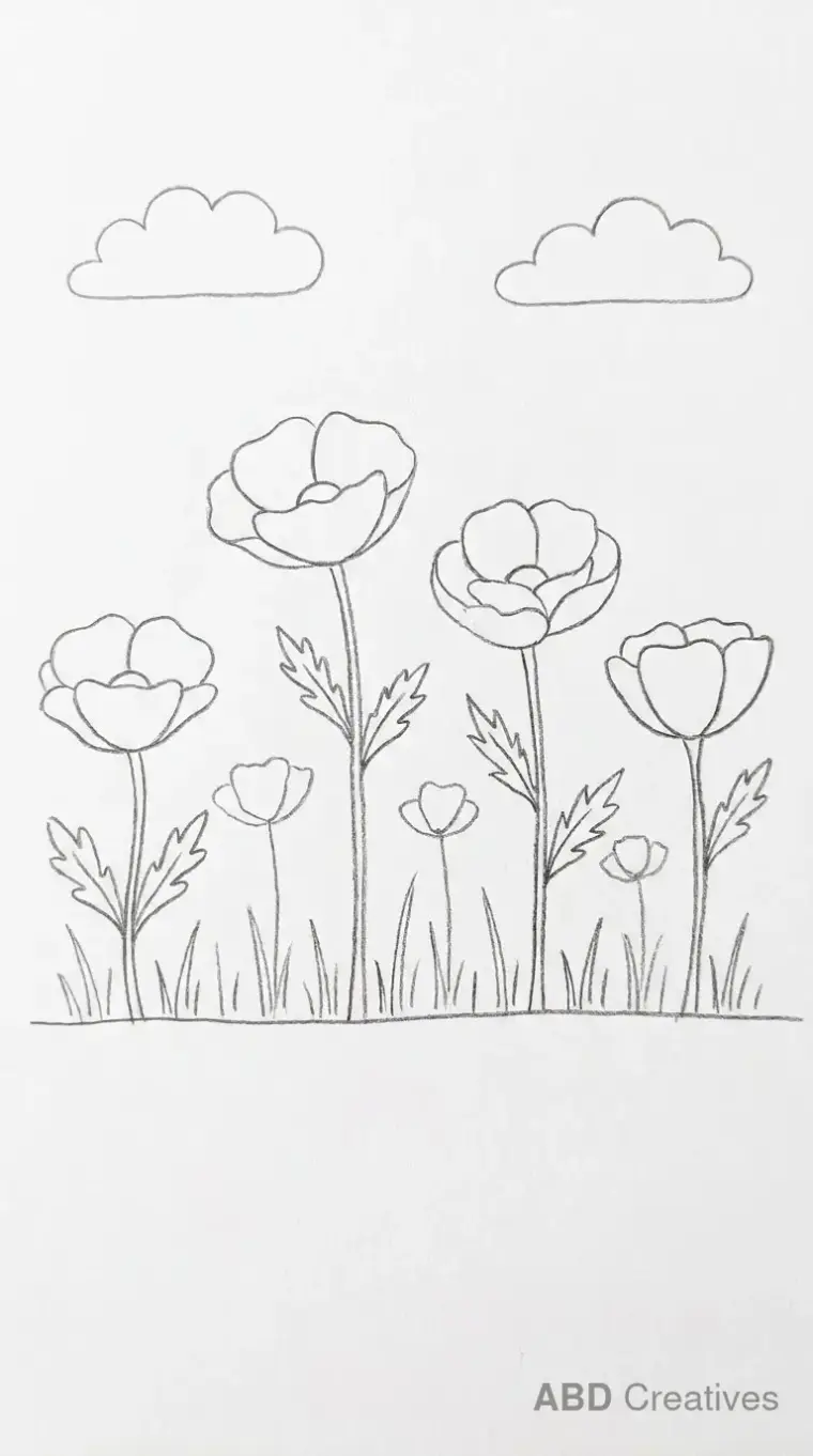 Poppy Field Scene