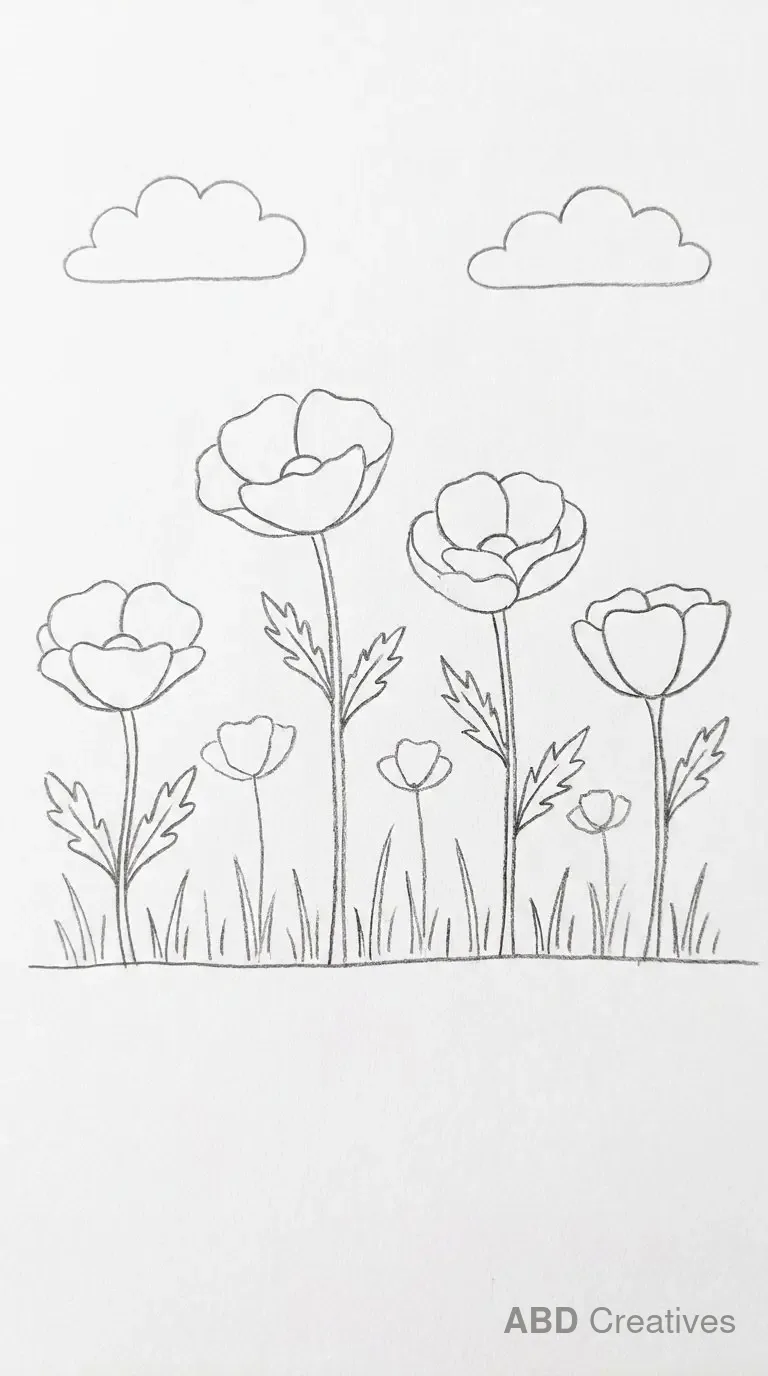 Poppy Field Scene