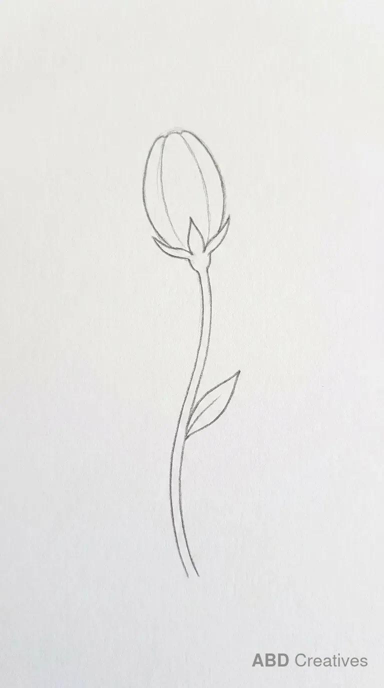 Poppy Flower Bud