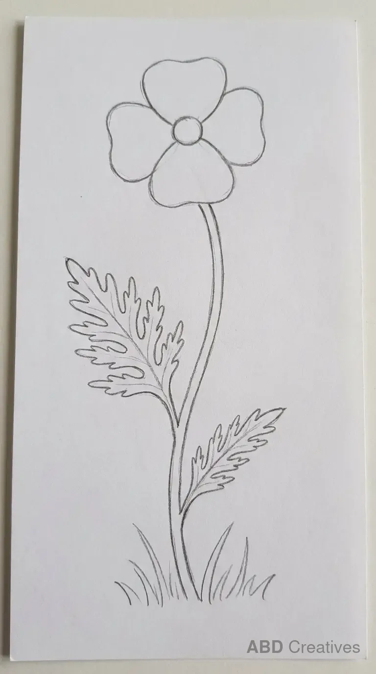 Poppy Flower with Long Stem and Leaves