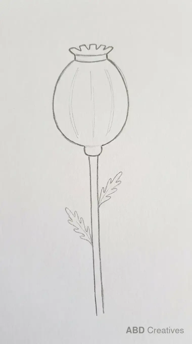 Poppy with a Seed Pod