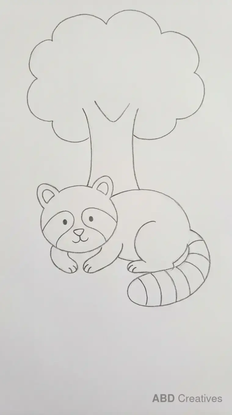 Raccoon Resting Under Tree Drawing