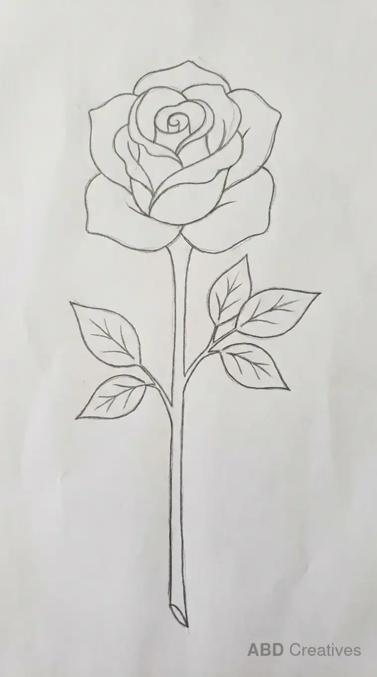 Rose with a Long Stem