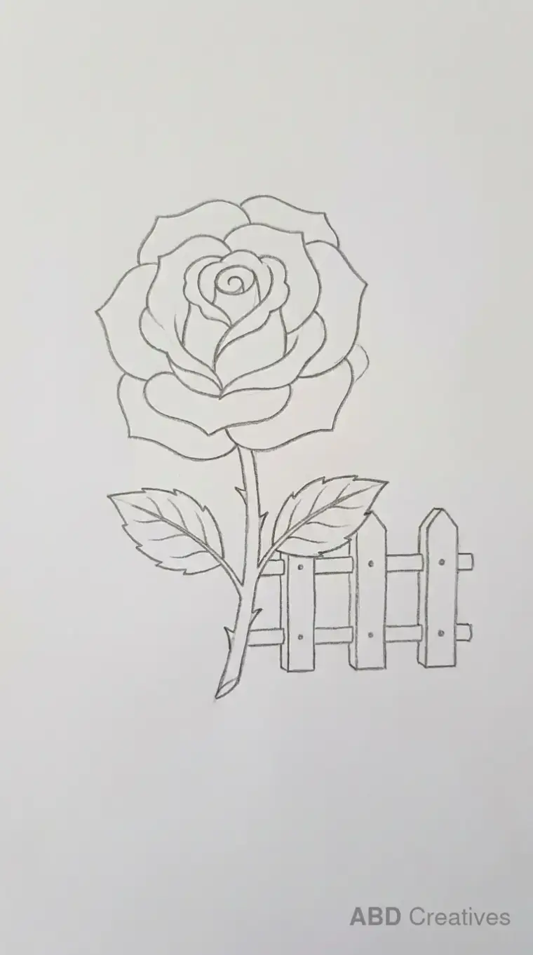 Rose with a Garden Fence