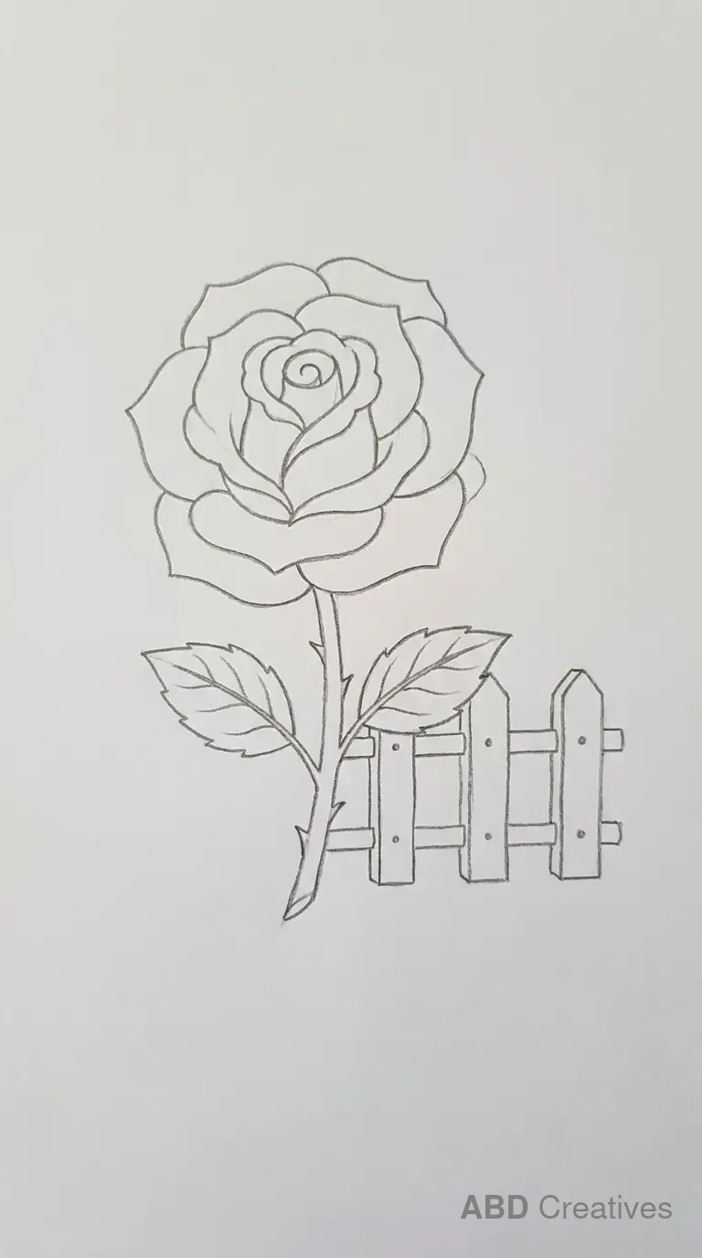 Rose with a Garden Fence