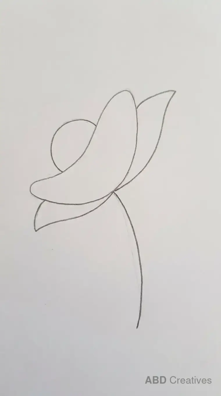 Side View Poppy Flower