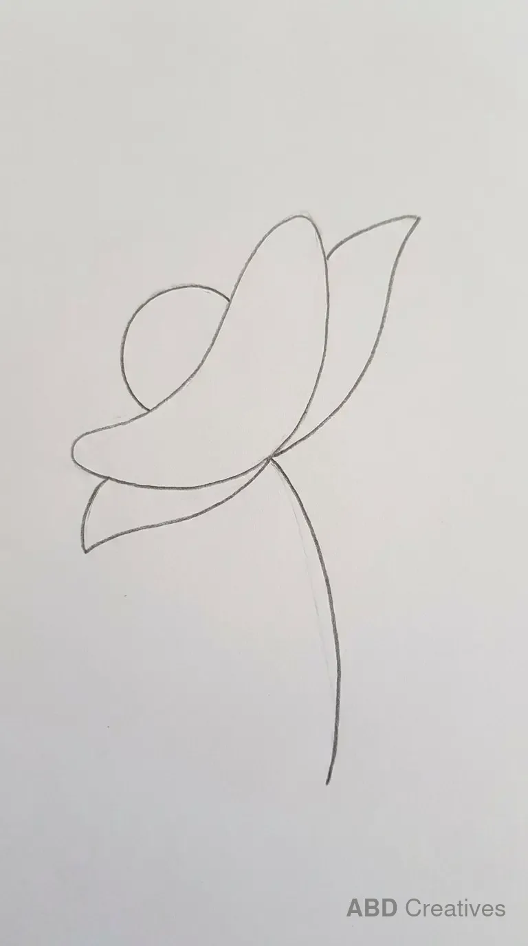 Side View Poppy Flower