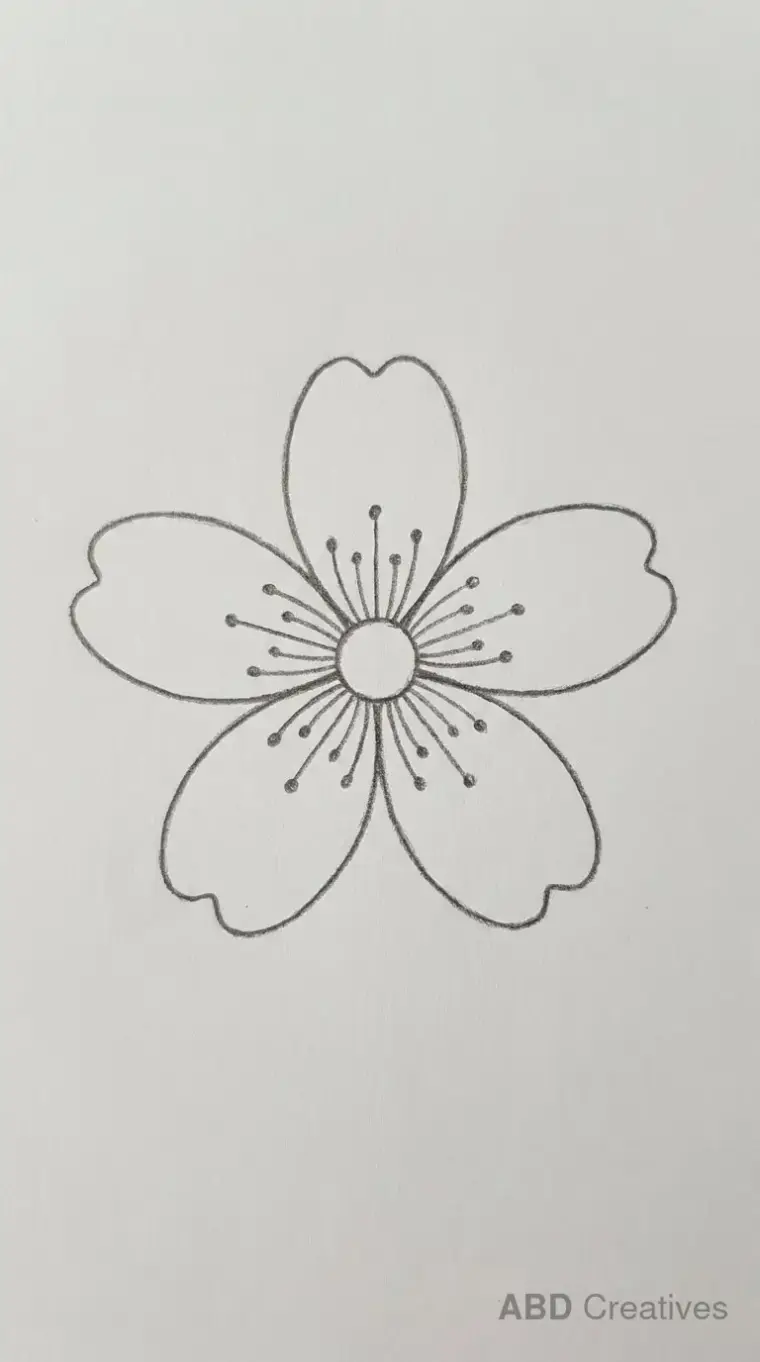 Simple Single Cherry Blossom Bloom