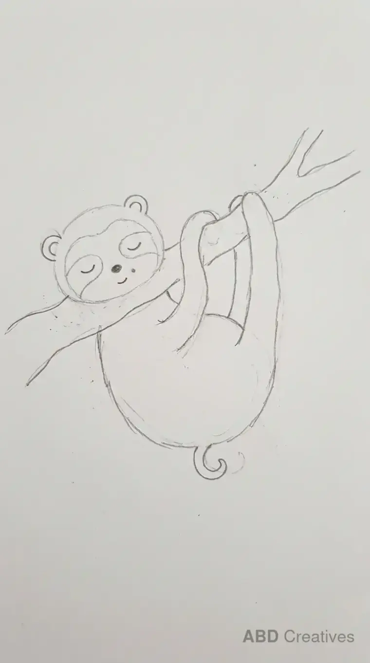 Sloth Sleeping on a Branch