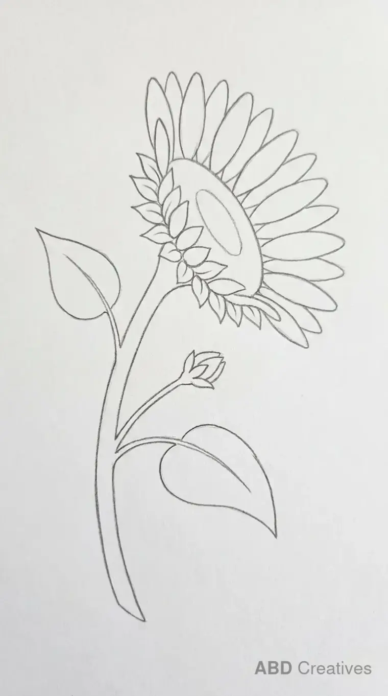 Sunflower Side View with a Bud